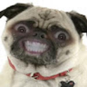 Meet your Posher, Cody